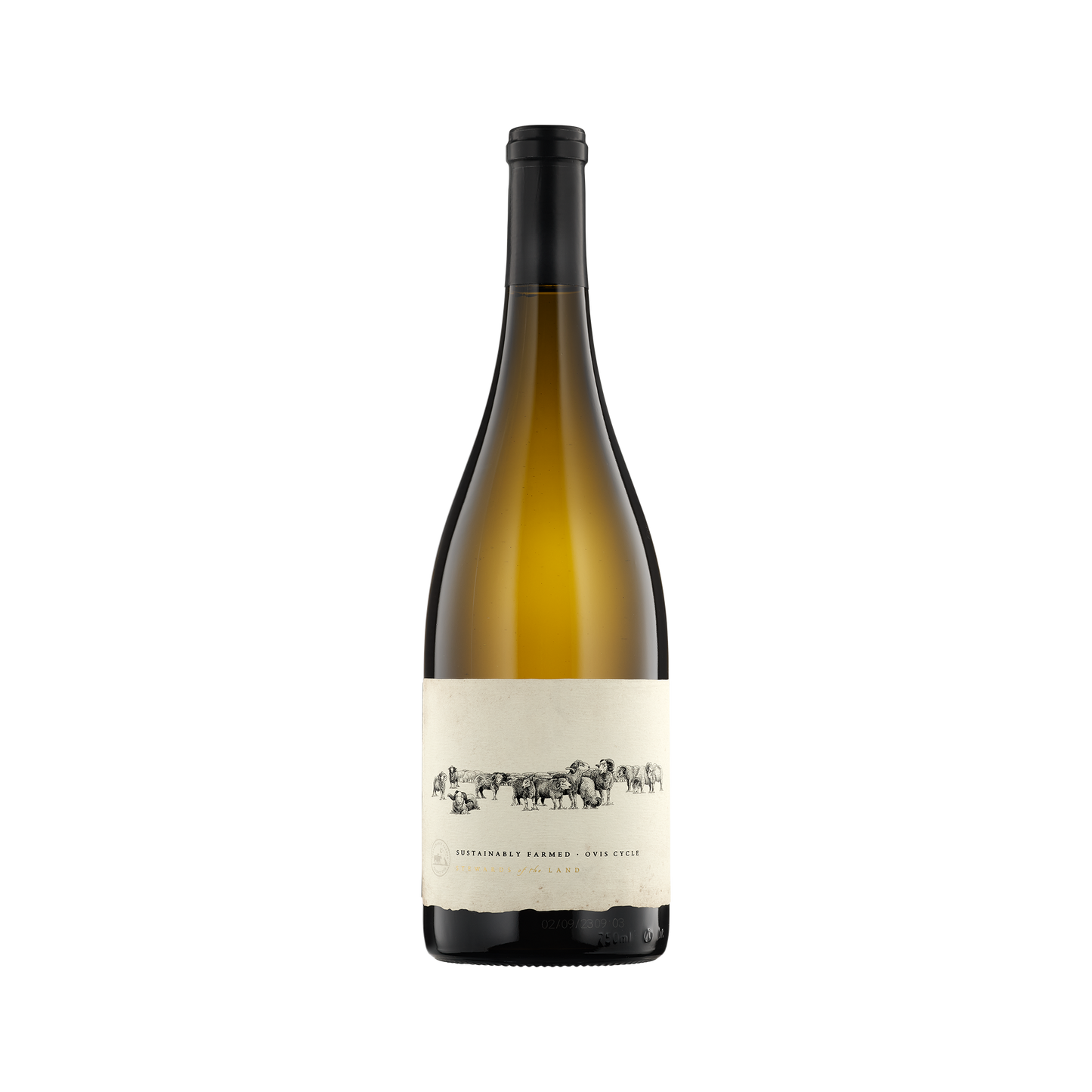 Shannon Family '13 Rams' 2021 Chardonnay
