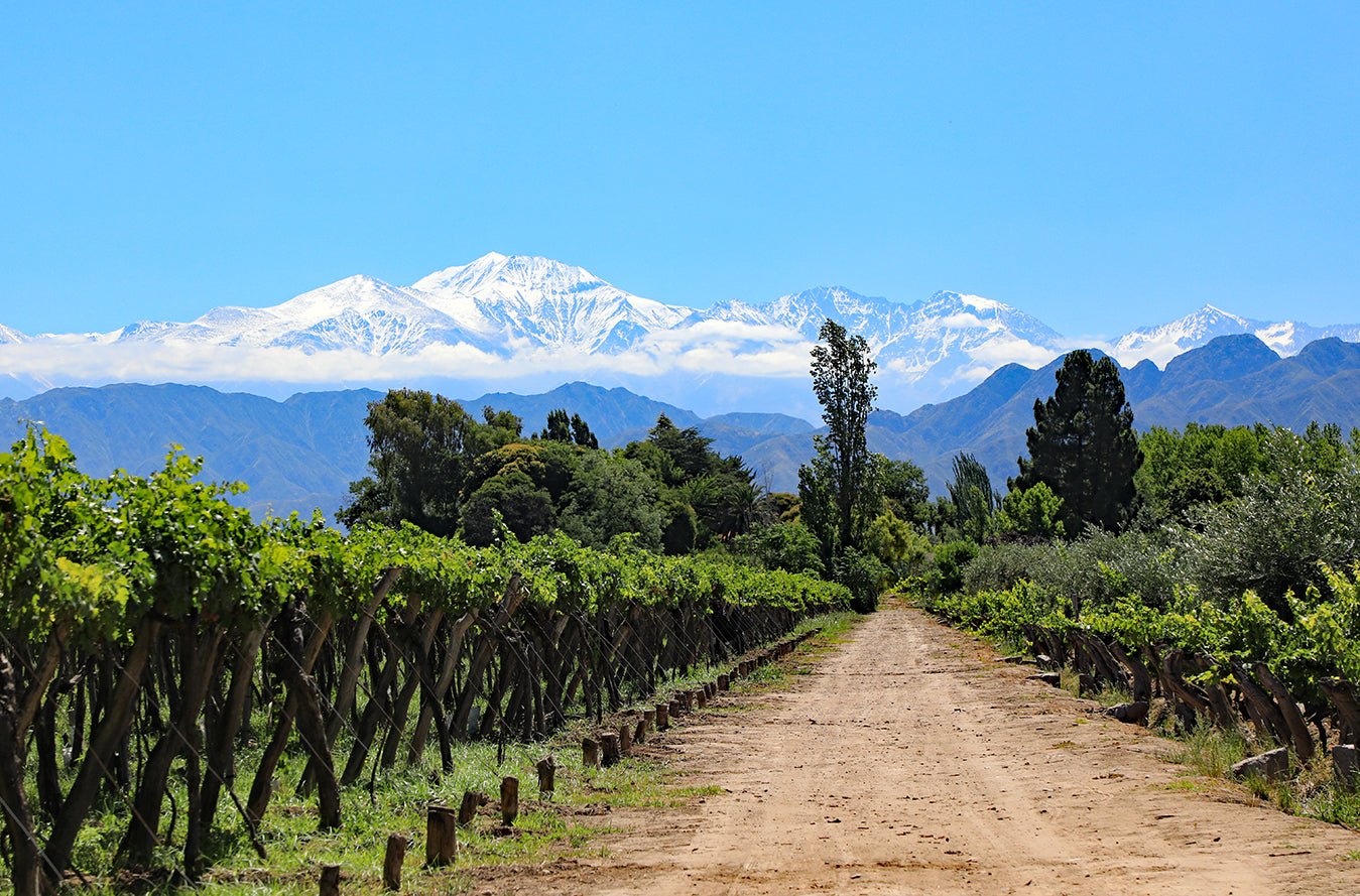 argentina