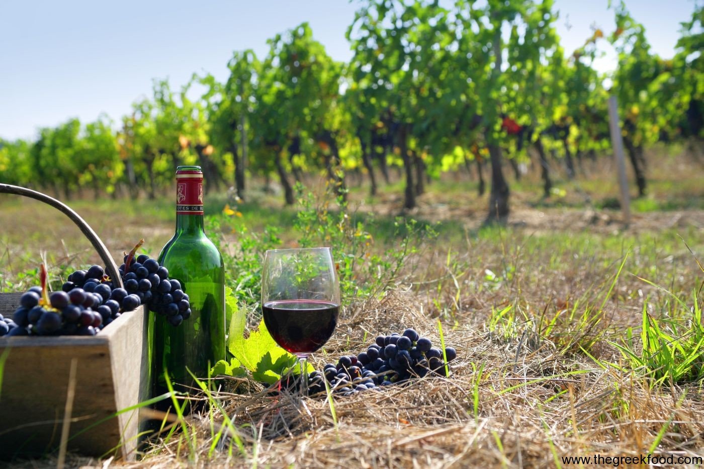 greek wine