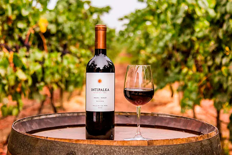 peruvian wine