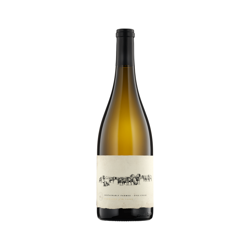 13 Rams 2021 Chardonnay