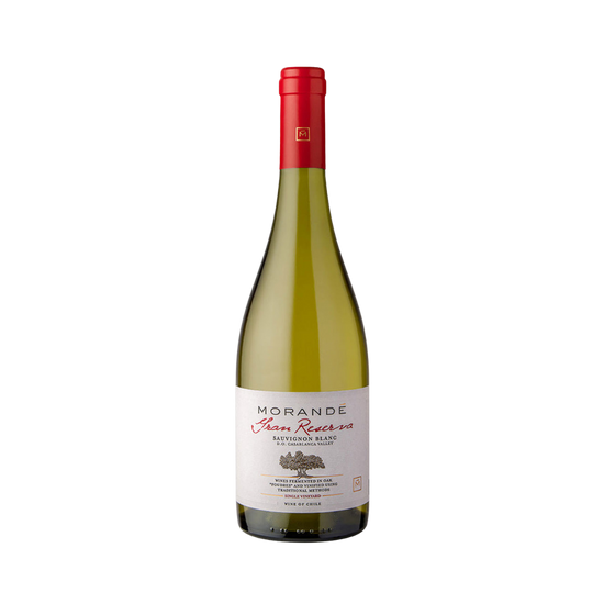2021 Morande Grand Reserva Sauvignon Blanc Casablanca Chile