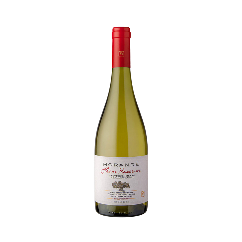 2021 Morande Grand Reserva Sauvignon Blanc Casablanca Chile
