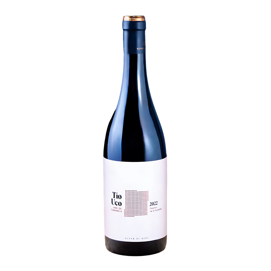 2022 Alvar de Dios Red Wine Tío Uco Tierra de Castilla y León Spain