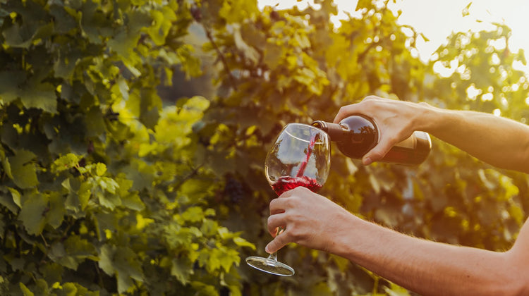 Bordeaux Wine