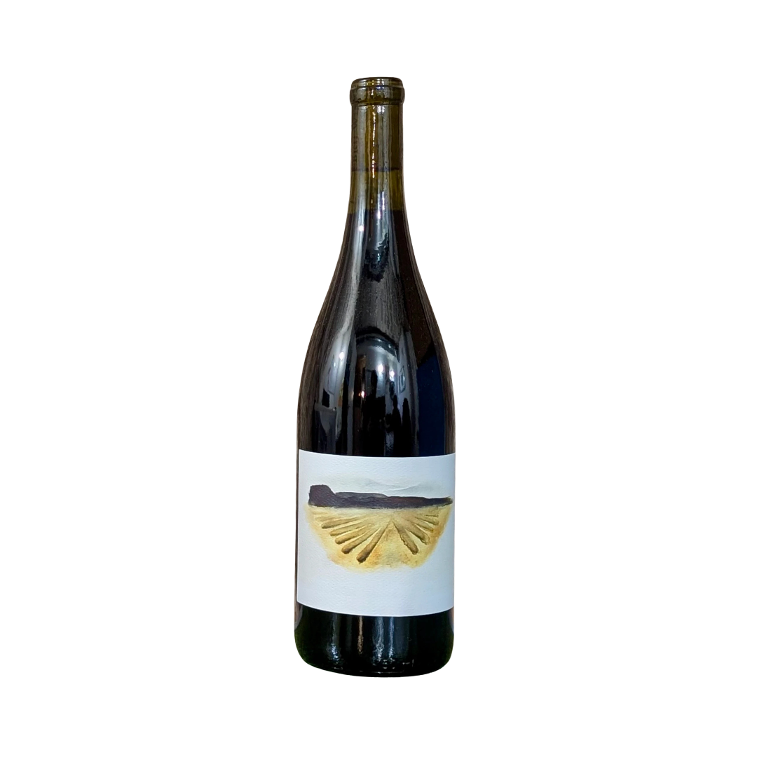 Brij Wines Mourvèdre San Benito County CA 2023