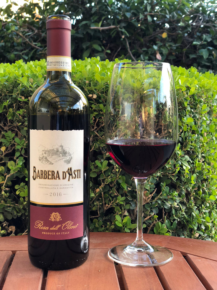 Barbera Wine
