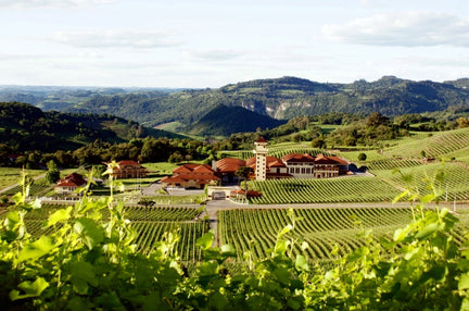 Sparkling surprise Brazil s wine industry builds