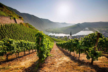 Wine Regional Guide Germany