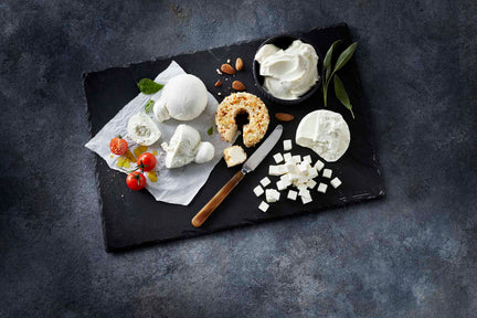 cheese type fresh cheese