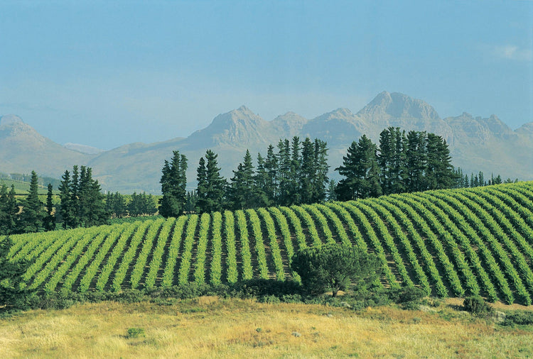 chile