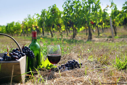 greek wine